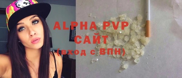 сатива Волоколамск