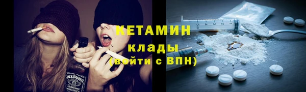 сатива Волоколамск
