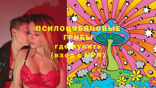 сатива Волоколамск