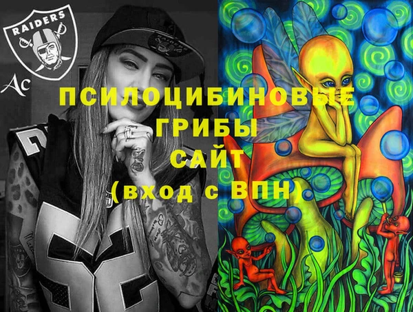 сатива Волоколамск