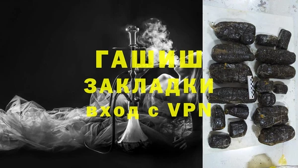 сатива Волоколамск